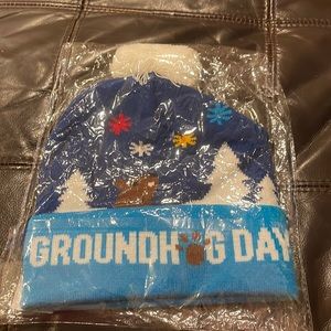 Groundhog’s Day Light Up Beanie